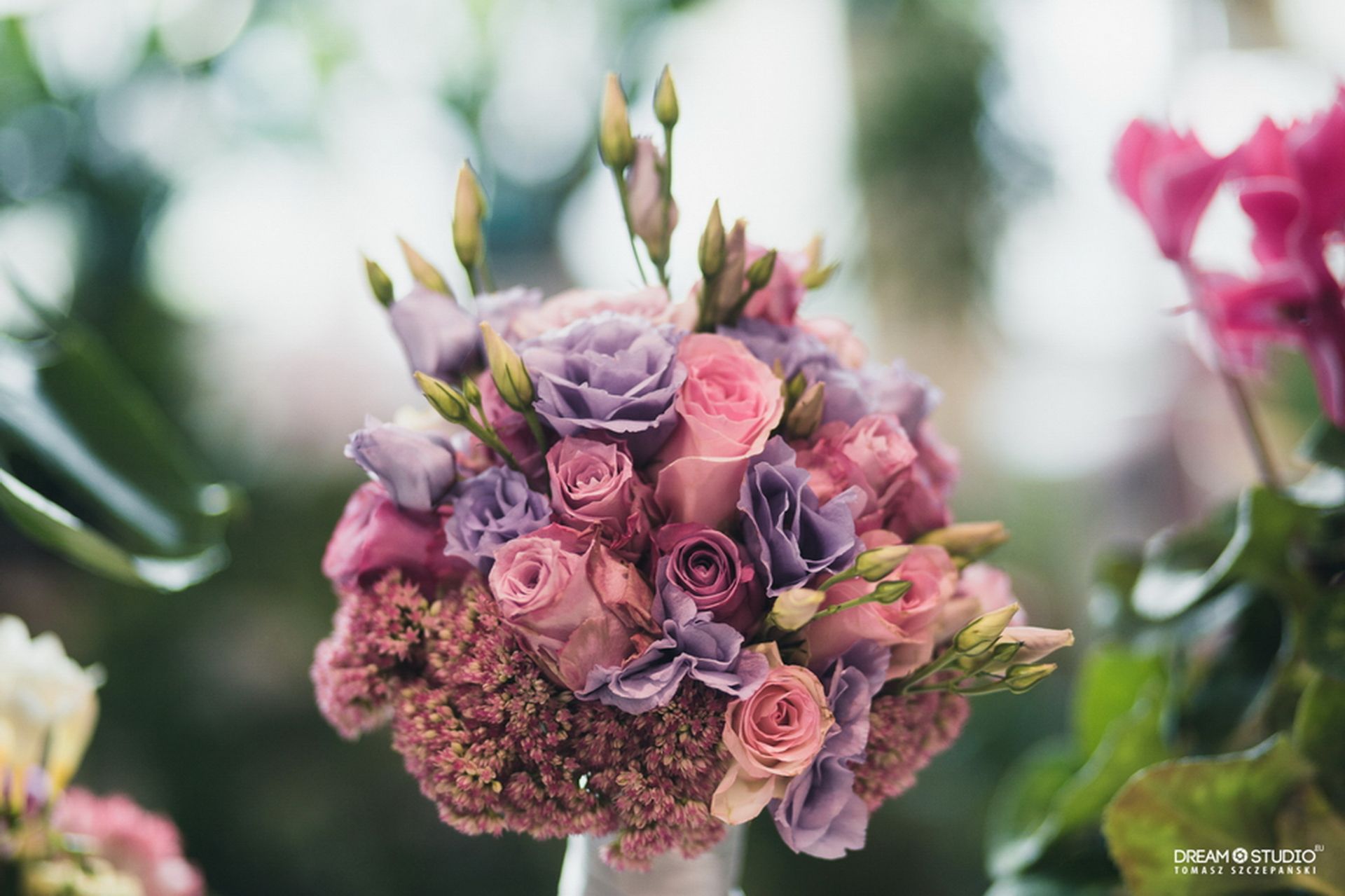 Kwiaciarnia Magnolia 25